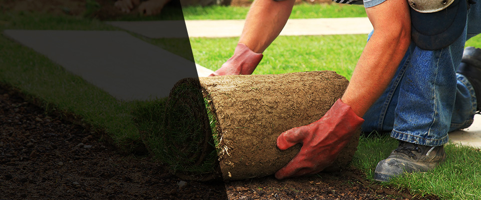 Groesbeck Landscapers